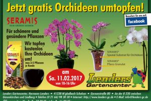 Werbung für kostenloses Umtopfen von Orchideen im Lenders Gartencenter mit Pflanzen und Produkten.