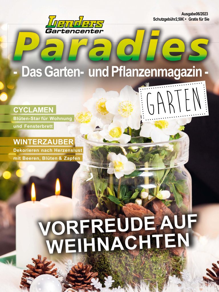 Lenders Paradies, Titelseite der aktuellen Ausgabe