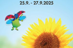 Plakat für die Aktion "Finales Vermessen" mit einer Sonnenblume und dem Käferlogo von Lenders Gartencenter