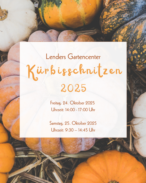 Verschiedene Kürbisse in Orange, Weiß und Grün liegen auf Stroh. Darüber ein weißes Rechteck mit dem Text: 'Lenders Gartencenter Kürbisschnitzen 2025 Freitag, 24. Oktober 2025 Uhrzeit: 14:00 - 17:00 Uhr Samstag, 25. Oktober 2025 Uhrzeit: 9:30 - 14:45 Uhr'.