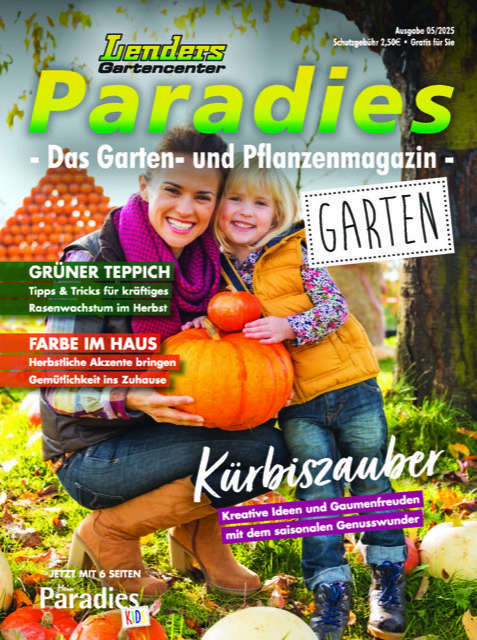 Lenders Paradies, Titelseite der aktuellen Ausgabe