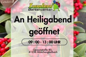 Rote Beeren und grüne Blätter im Hintergrund, darüber Text 'Lenders Gartencenter An Heiligabend geöffnet 09:00 - 13:00 UHR Gereonstraße 80 41238 Mönchengladbach' und rundes Logo 'Café Lenders 9:00 - 12:00 Uhr geöffnet'.