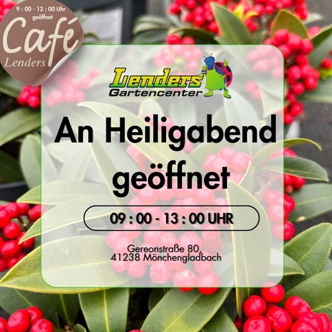 Rote Beeren und grüne Blätter im Hintergrund, darüber Text 'Lenders Gartencenter An Heiligabend geöffnet 09:00 - 13:00 UHR Gereonstraße 80 41238 Mönchengladbach' und rundes Logo 'Café Lenders 9:00 - 12:00 Uhr geöffnet'.