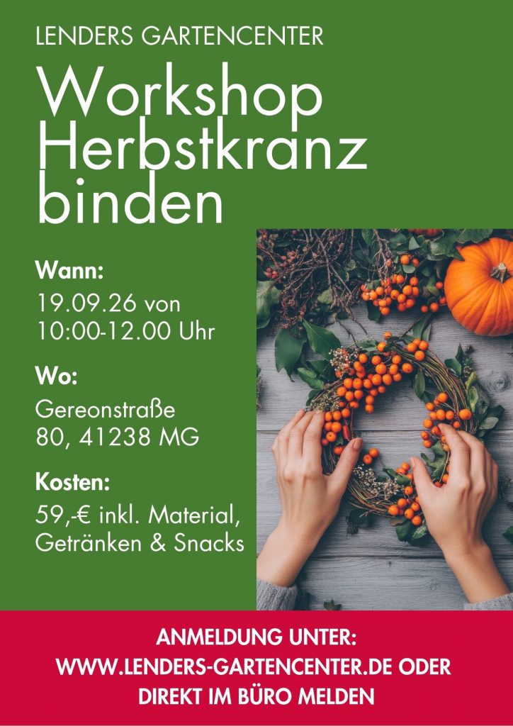 Zwei Hände flechten einen Kranz aus grünen Zweigen, orangefarbenen Beeren und kleinen Kürbissen auf einer Holzoberfläche. Im oberen Bereich steht auf grünem Hintergrund in weißer Schrift: 'LENDERS GARTENCENTER Workshop Herbstkranz binden'. Darunter folgen Angaben zu Termin, Ort und Kosten: 'Wann: 19.09.26 von 10:00-12:00 Uhr', 'Wo: Gereonstraße 80, 41238 MG', 'Kosten: 59,- € inkl. Material, Getränken & Snacks'. Am unteren Rand befindet sich ein rotes Feld mit weißer Schrift: 'ANMELDUNG UNTER: WWW.LENDERS-GARTENCENTER.DE ODER DIREKT IM BÜRO MELDEN'.