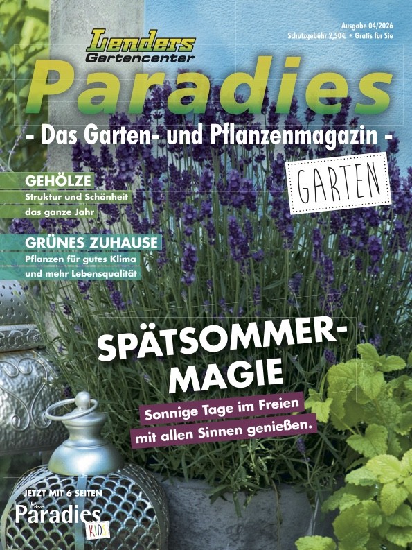 Lenders Paradies, Titelseite der aktuellen Ausgabe