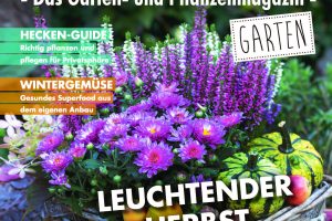 Im Vordergrund steht ein üppig bepflanzter Korb mit violetten, pinken und weißen Blüten sowie grünen Blättern. Die Pflanzen sind dicht angeordnet und wirken frisch. Im Hintergrund sind weitere Gartenpflanzen und unscharfe Natur zu erkennen. Oben befindet sich ein gelber Schriftzug mit dem Titel des Magazins und weiteren Informationen. Unten sind zusätzliche Textfelder mit Hinweisen auf Themen und Inhalte der Ausgabe platziert.
